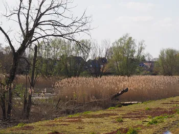 Kalkense Meersen (België)